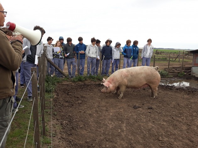 Visita a un criadero de cerdos - 3ros. ESA