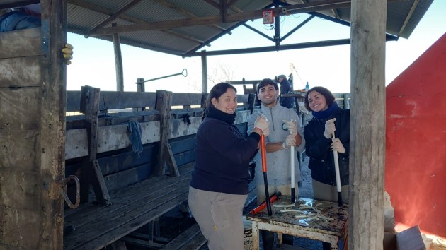 Aprender haciendo: Prácticas Profesionalizantes de nuestros estudiantes de 7º año