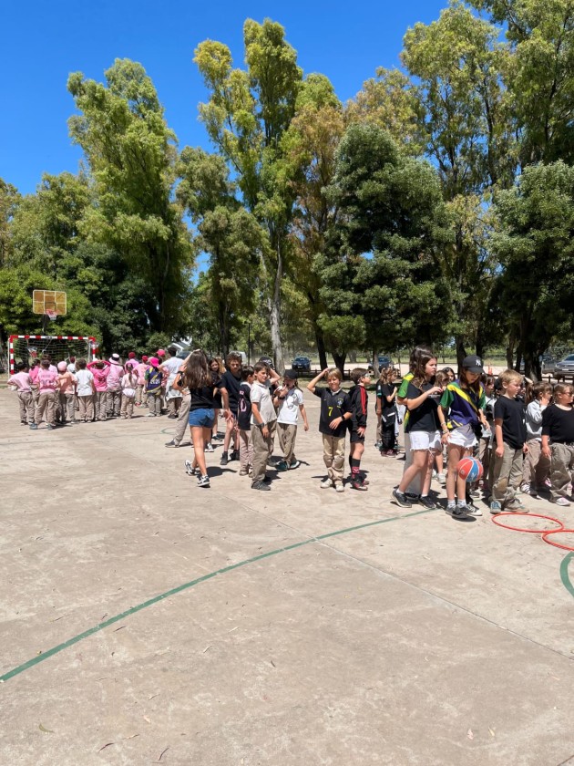 Desafíos a la Creatividad Nivel Primario 2025