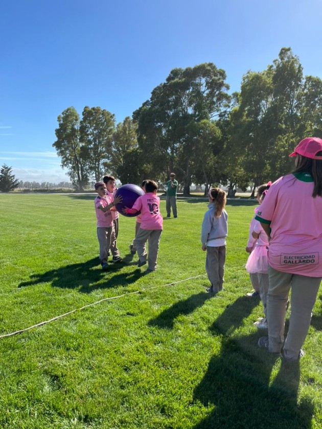 Desafíos a la Creatividad Nivel Primario 2025