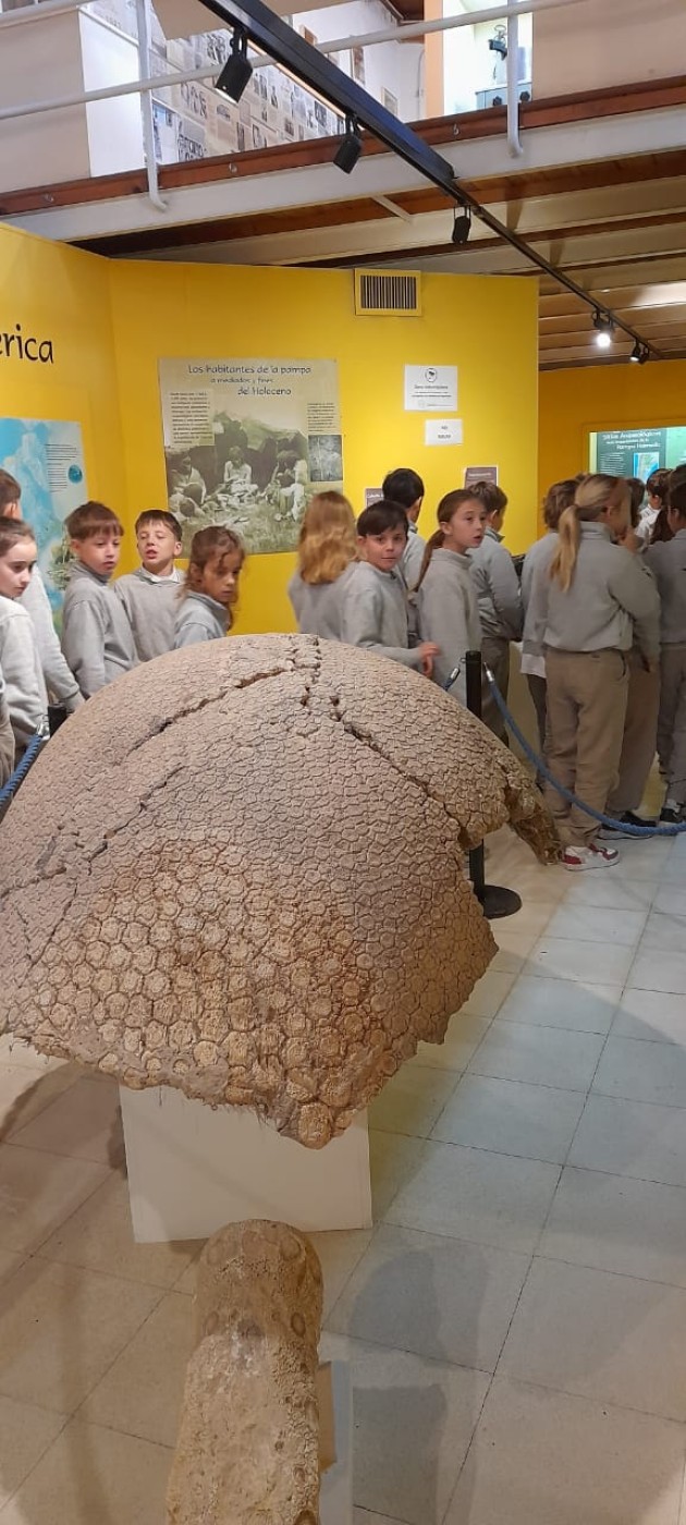 Exploración Arqueológica en el Museo Mulazzi