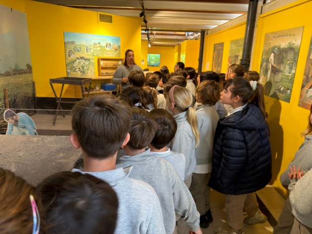 Exploración Arqueológica en el Museo Mulazzi