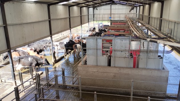 Futuros Técnicos Agropecuarios visitan sistema robotizado de ordeñe