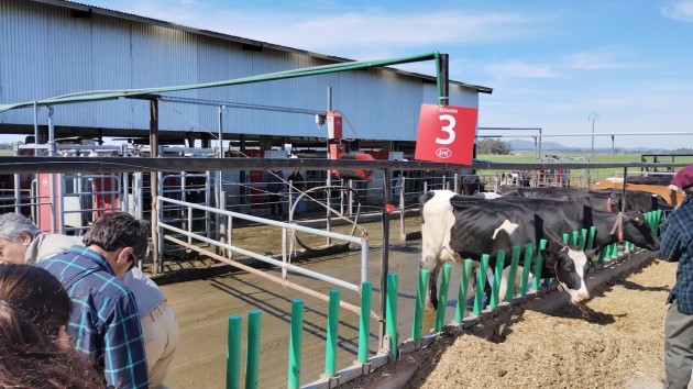 Futuros Técnicos Agropecuarios visitan sistema robotizado de ordeñe