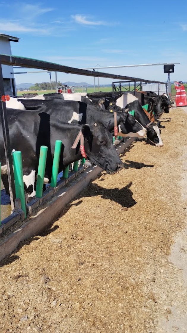 Futuros Técnicos Agropecuarios visitan sistema robotizado de ordeñe