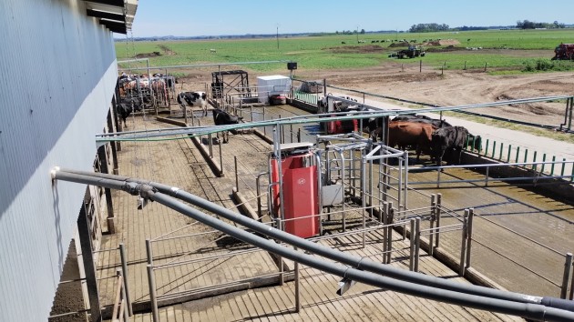 Futuros Técnicos Agropecuarios visitan sistema robotizado de ordeñe