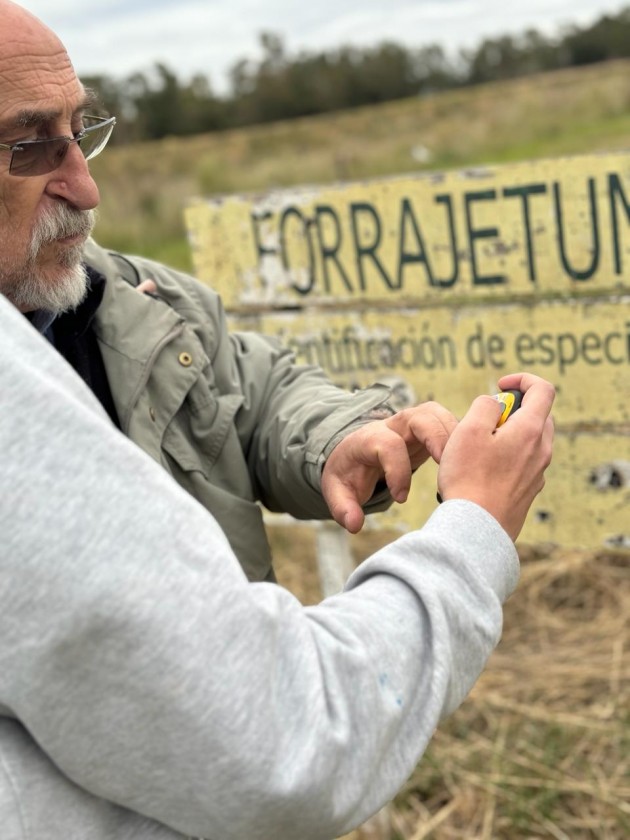 Proyecto de Formación Laboral 