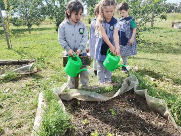 Proyecto Huerta de Nivel Inicial