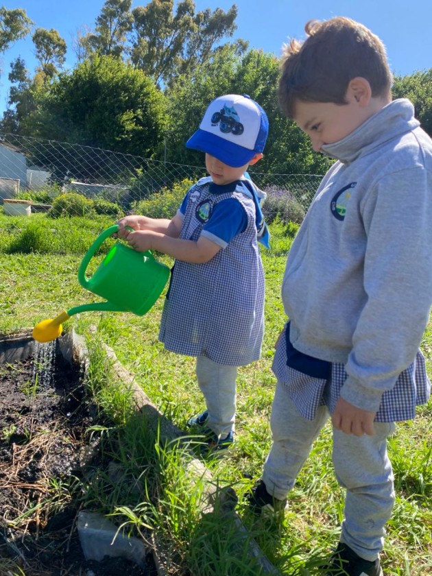 Proyecto Huerta de Nivel Inicial