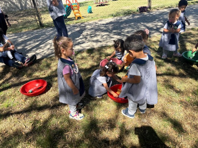 Sala de 2 año ¡en acción!