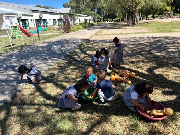 Sala de 2 año ¡en acción!